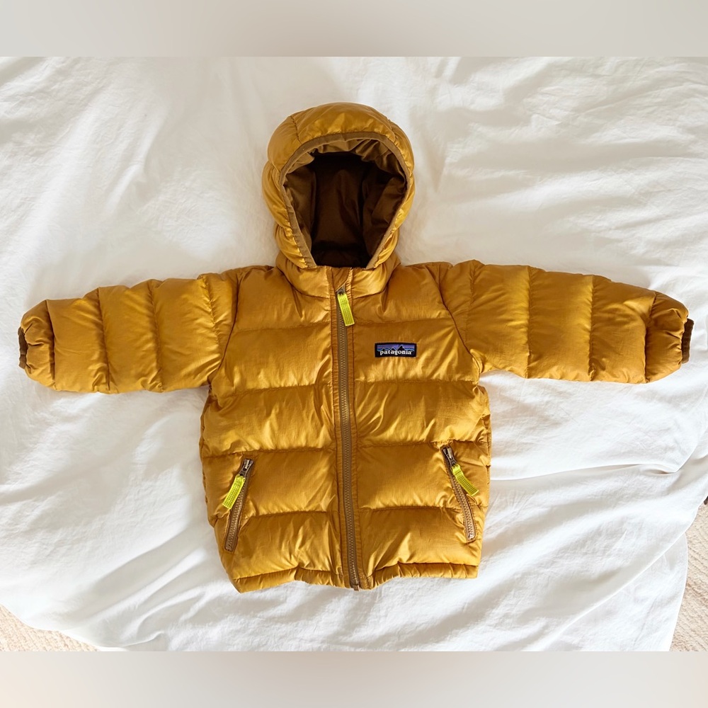 Patagonia Hi-Loft Down Sweater Hoodie